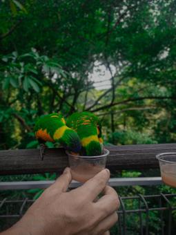 "Lost in nature’s beauty."