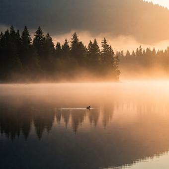 Breathtaking Natural Landscape with Mountains, Forest, and River in Da