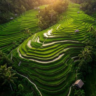 Breathtaking Natural Landscape with Mountains, Forest, and River in Da