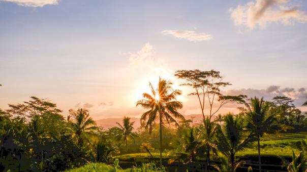 Natural Landscape Sunset - Free Stock Photo
