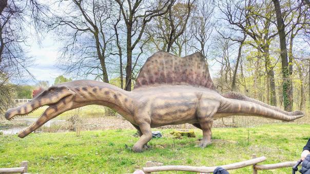Realistic Dinosaur Model Display in Nature Park with Trees