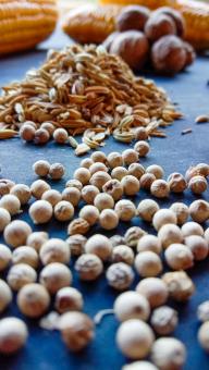 Photo of some cooking ingredients such as white pepper, pepper, 