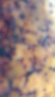 A banana with a close-up, against a black background, A banana f