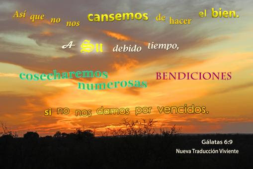 Hacer El Bien