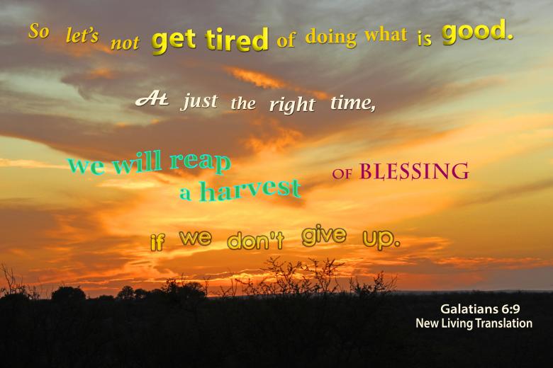 Free stock image of Let Us Not Get Tired of Doing Good created by DFNatureAwed
