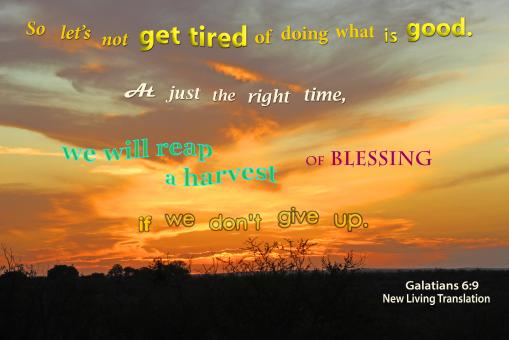 Let Us Not Get Tired of Doing Good