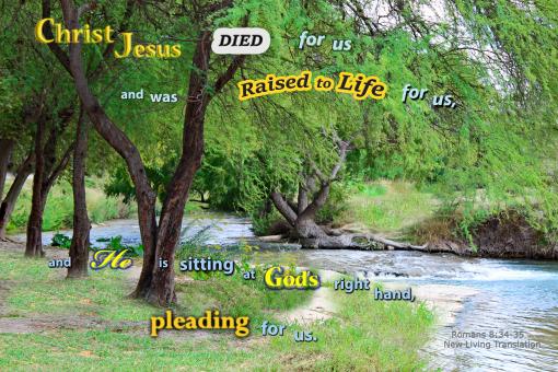 Jesus Pleads for Us