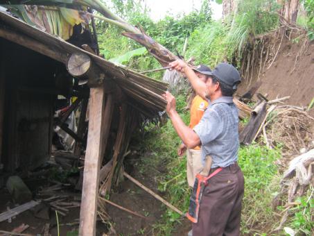 house hit by fallen tree