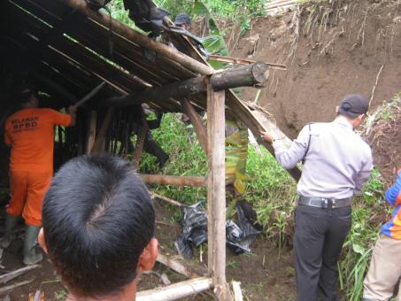 rumah tertimpa pohon