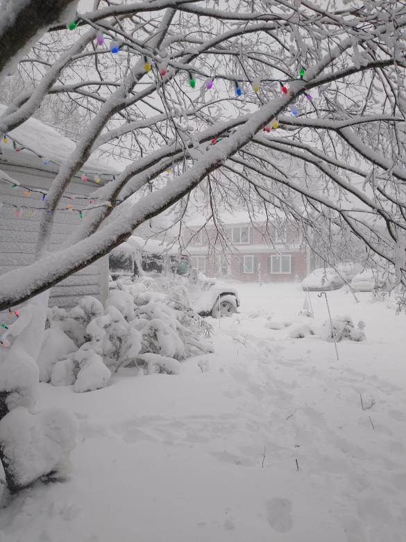 Free stock image of Snow Blizzard created by Katharine Sparrow