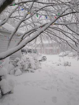 Snow Blizzard