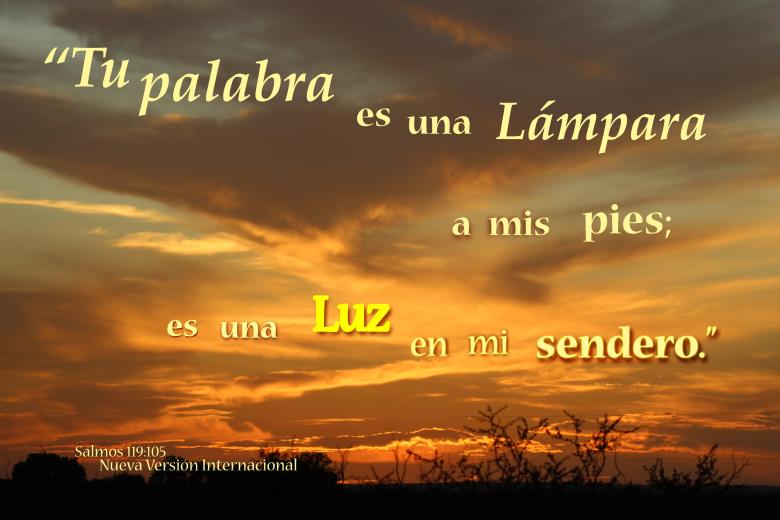 Free stock image of Tu Palabra es Una Lampara created by DFNatureAwed