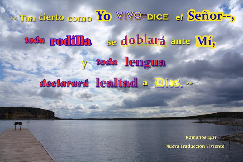 Free stock image of Toda Rodilla Se Doblara Ante Dios created by DFNatureAwed
